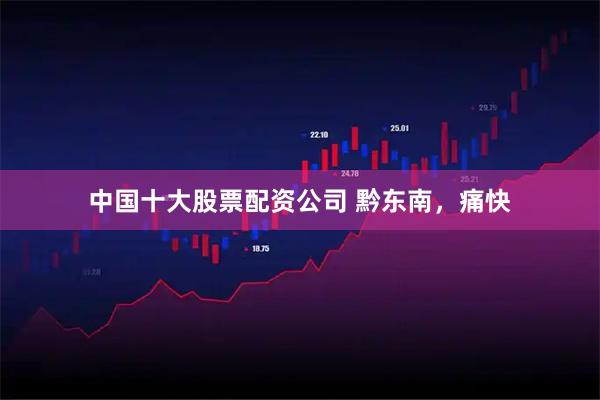 中国十大股票配资公司 黔东南，痛快