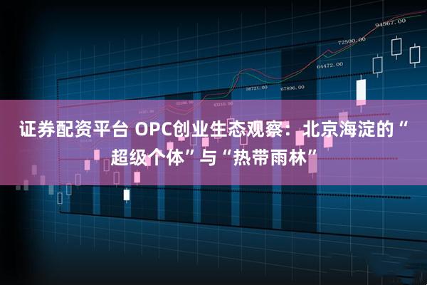 证券配资平台 OPC创业生态观察:北京海淀的“超级个体”与“热带雨林”