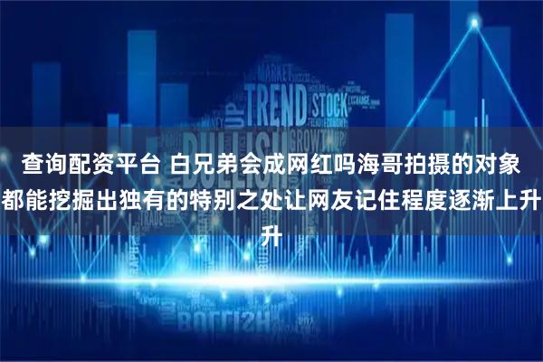 查询配资平台 白兄弟会成网红吗海哥拍摄的对象都能挖掘出独有的特别之处让网友记住程度逐渐上升